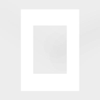 DEHA Design Picture Mounts